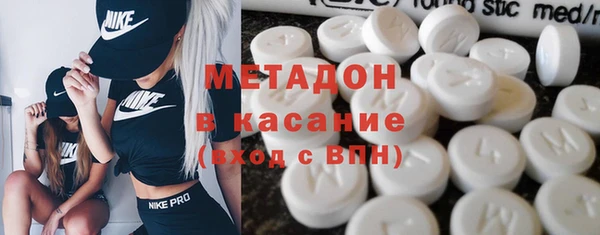 прущие грибы Каменка