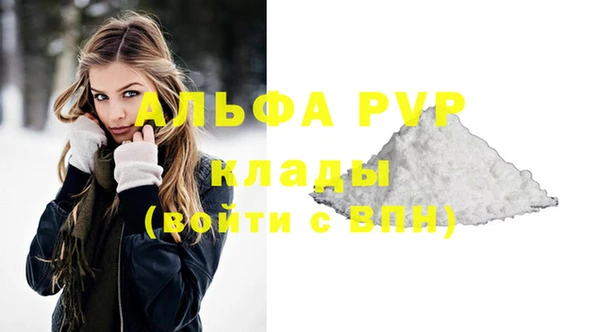 прущие грибы Каменка