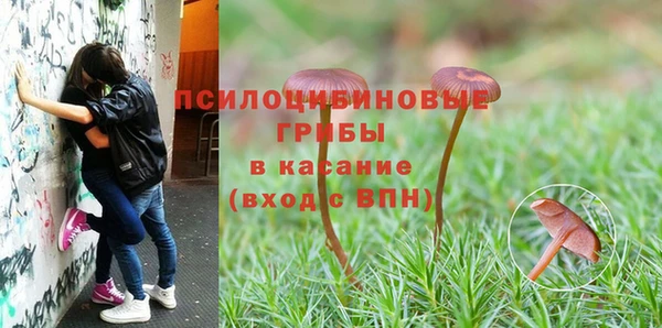 МДМА Каменск-Шахтинский