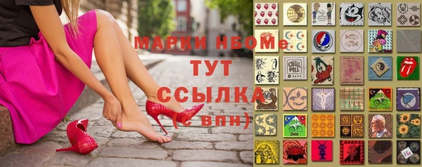 прущие грибы Каменка