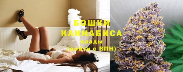 прущие грибы Каменка